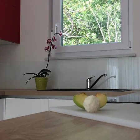 Apartment Panoss *